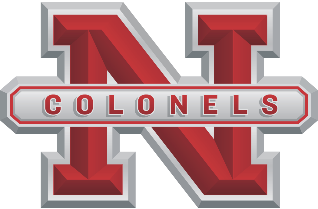 Nicholls State Colonels 2005-2008 Alternate Logo diy iron on heat transfer